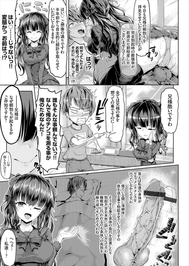 【エロ漫画】膨張率が著しく低下してる兄のチンポをお目覚めフェラする巨乳なJK妹！勃起力改善計画と称して射精管理が始動！メイド衣装でパイズリや素股を行いどさくさ紛れに生挿入して近親相姦で童貞を奪う！